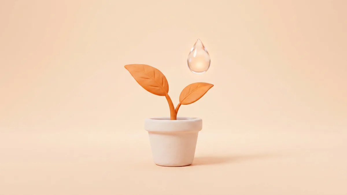 Small OnlyFans Creator Growth Tips: How to Grow From Zero in 2026